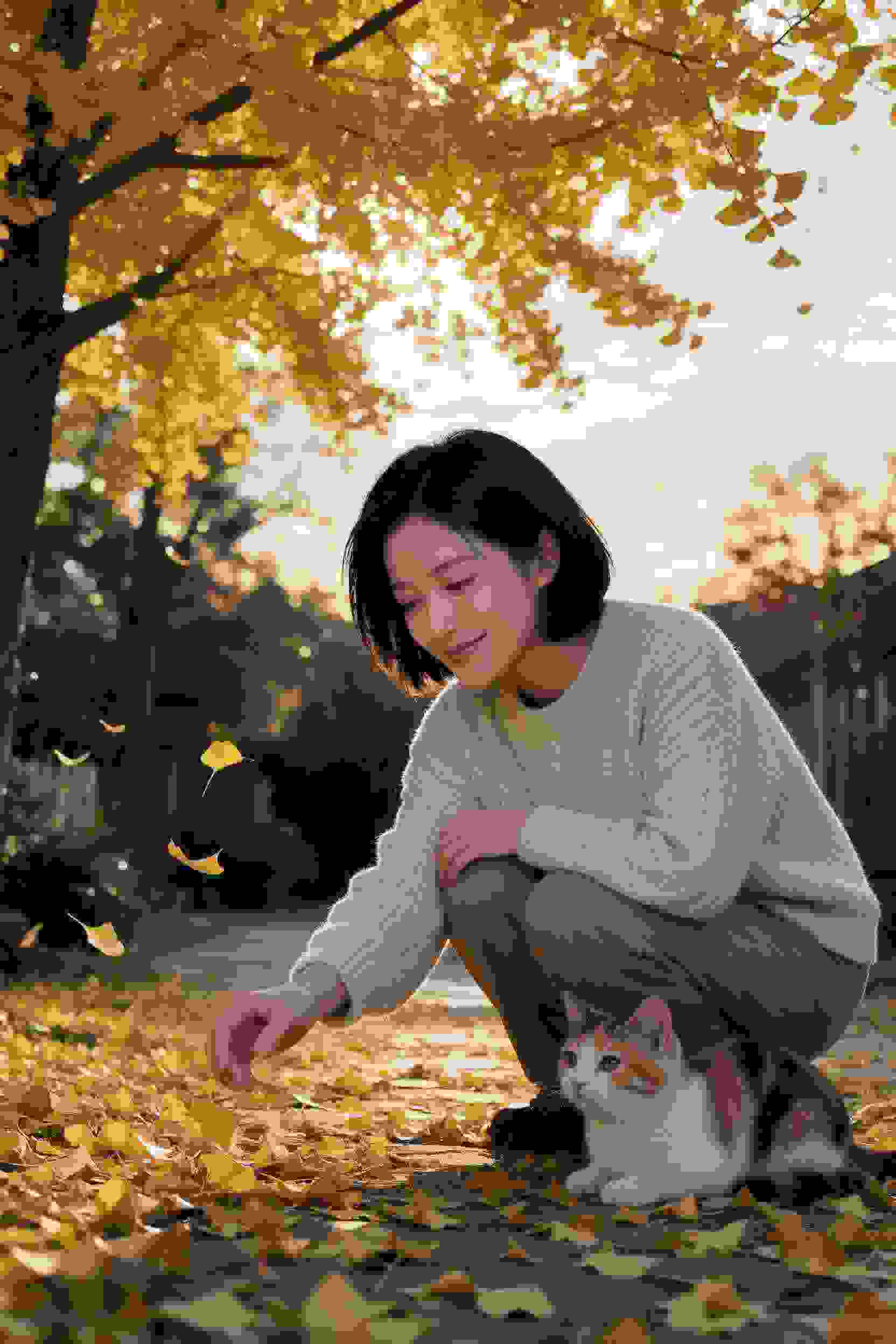 命运交叉